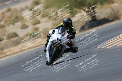 media/May-14-2023-SoCal Trackdays (Sun) [[024eb53b40]]/Turn 5 Tree of Life (1125am)/